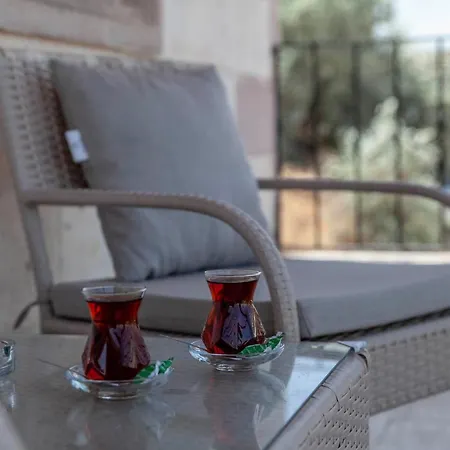 Sevin Stone Проживание в семье Гореме