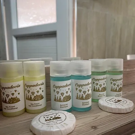 Проживание в семье Sevin Stone *