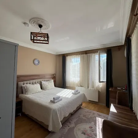 Sevin Stone Проживание в семье *