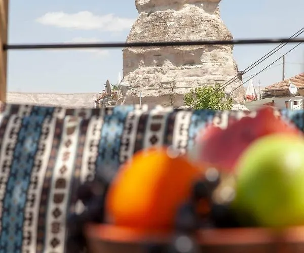 Homestay Sevin Stone