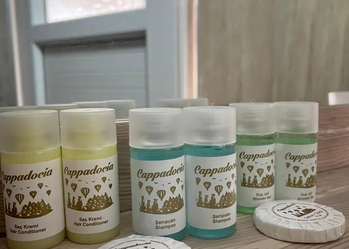 Homestay Sevin Stone *